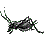clipart grillon
